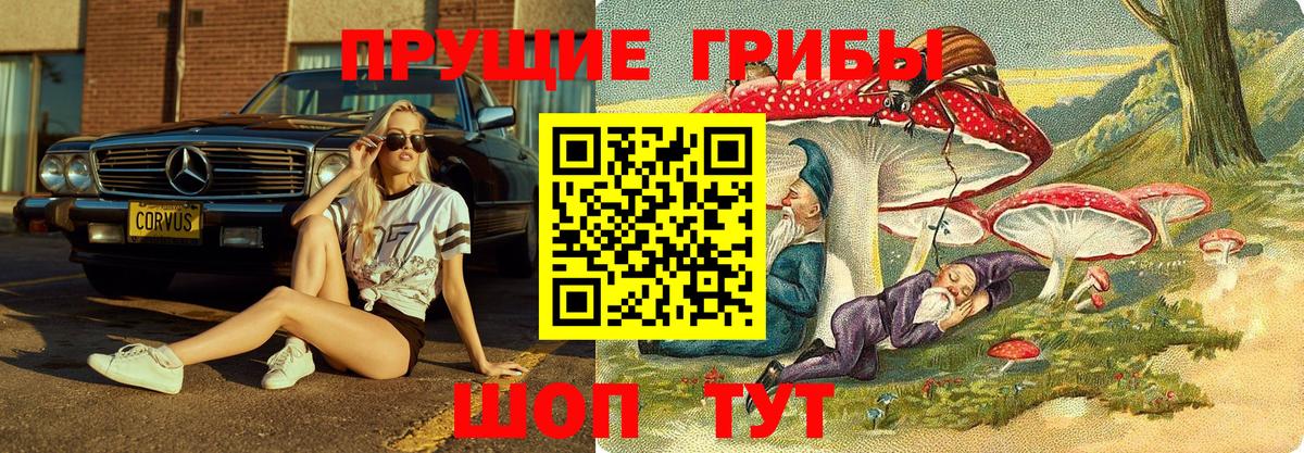 Псилоцибиновые грибы MAGIC MUSHROOMS  Вход с VPN  Унеча 